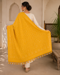 Ektara Katan Handloom Dupatta
