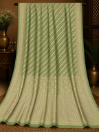 Pista Green Khaddi Banarasi Georgette Saree