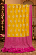 Premium  Chiffon Saree with Scalloped Border