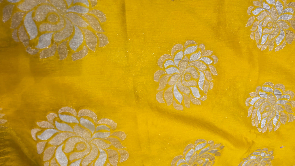 Premium  Chiffon Saree with Scalloped Border
