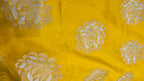 Premium  Chiffon Saree with Scalloped Border