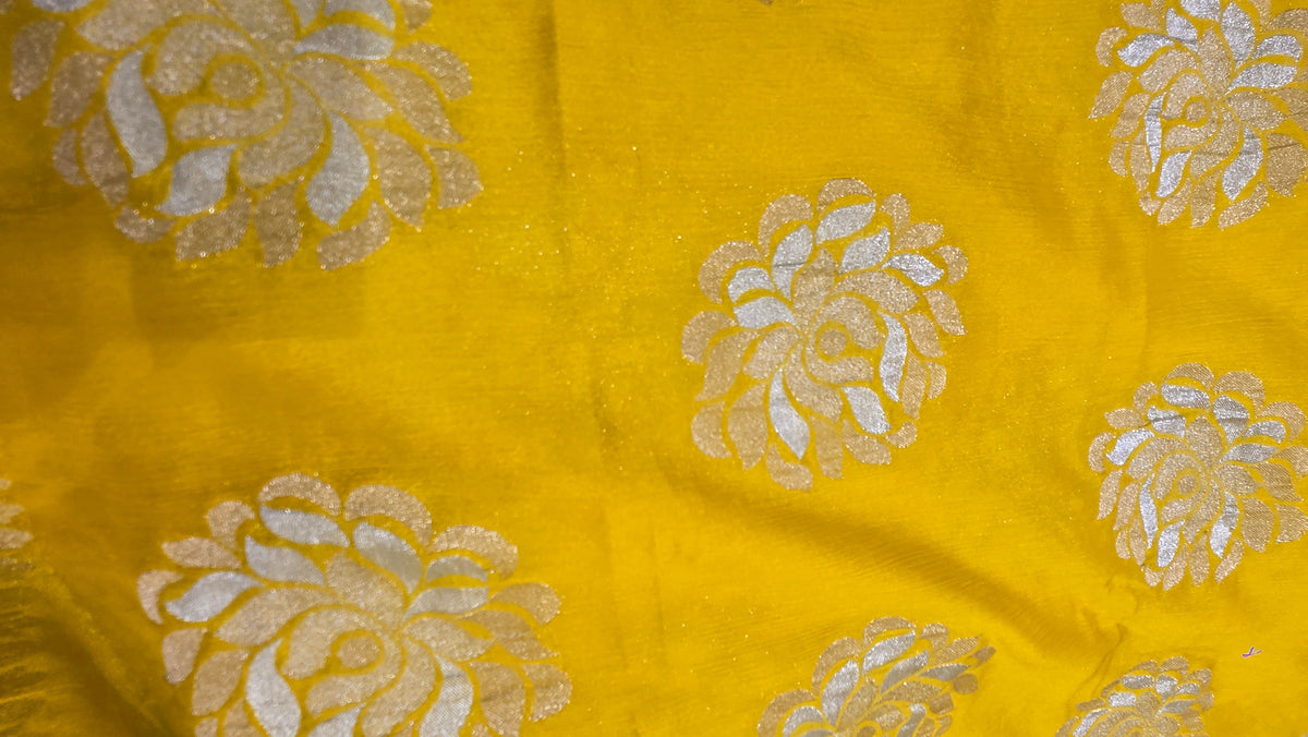 Premium  Chiffon Saree with Scalloped Border