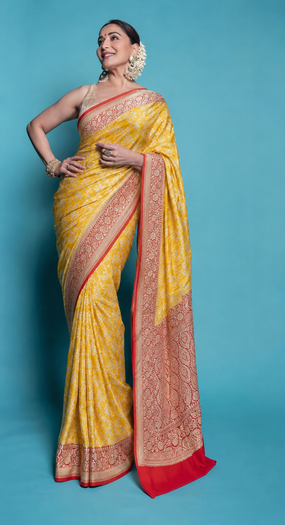 Banarasi Khaddi georgette